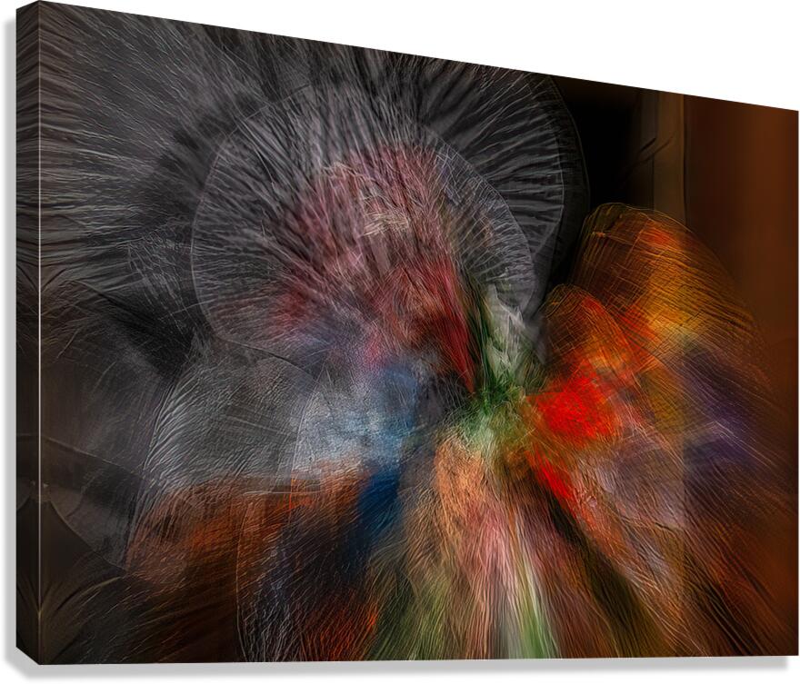 ABS 02011 Canvas Print