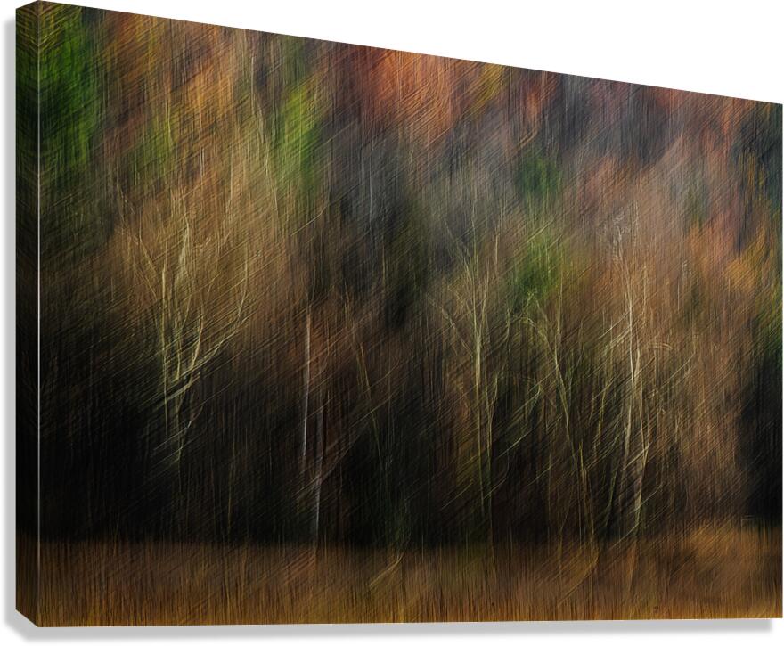 ABS 01968 Canvas Print