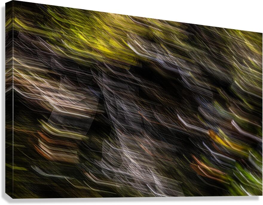 ABS 01980 Canvas Print