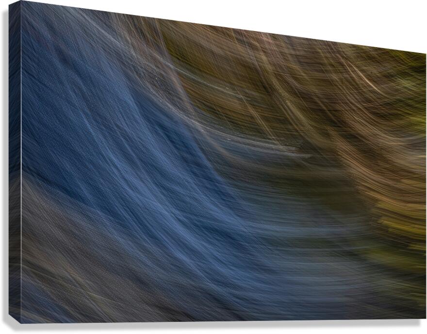 ABS 01977 Canvas Print