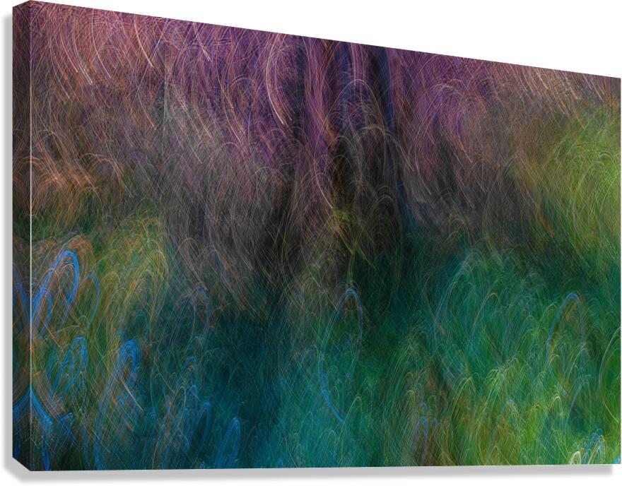 ABS 01983 Canvas Print