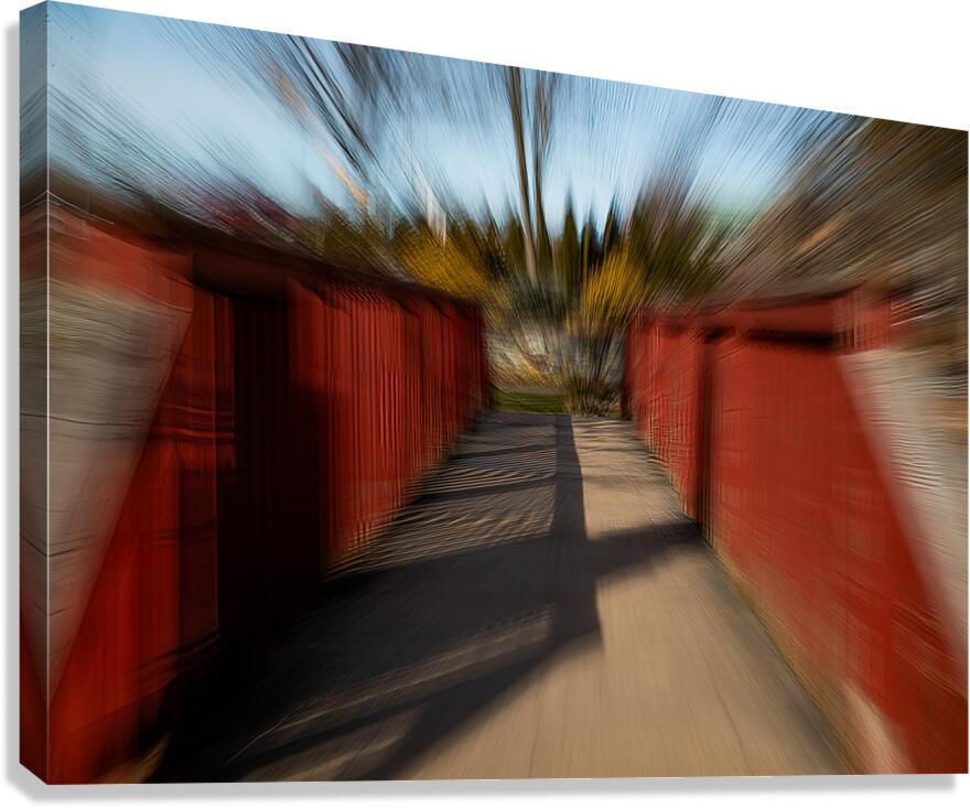 ABS 01996 Canvas Print