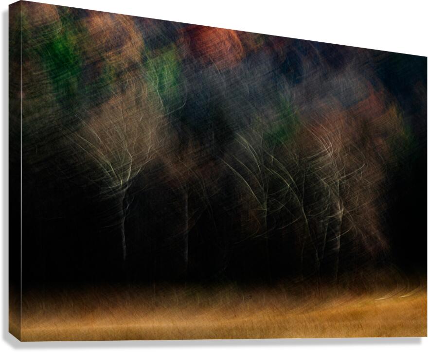 ABS 01967 Canvas Print