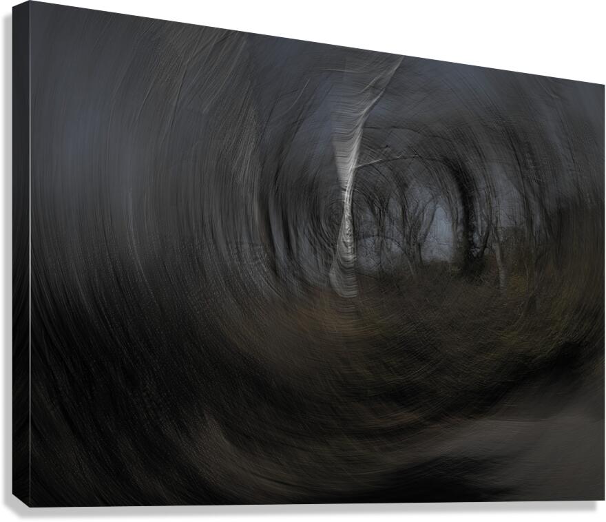 ABS 01973 Canvas Print