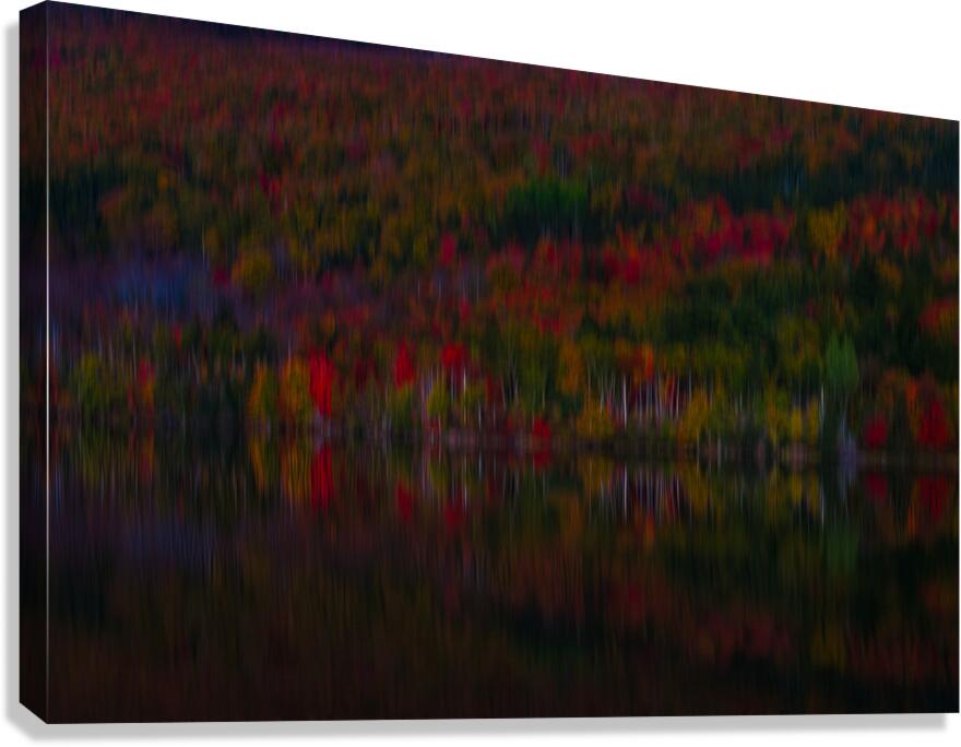 ABS 02022 Canvas Print