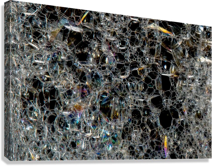 ABS 02027 Canvas Print