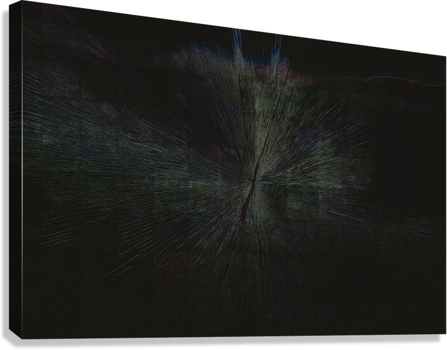 ABS 02019 Canvas Print