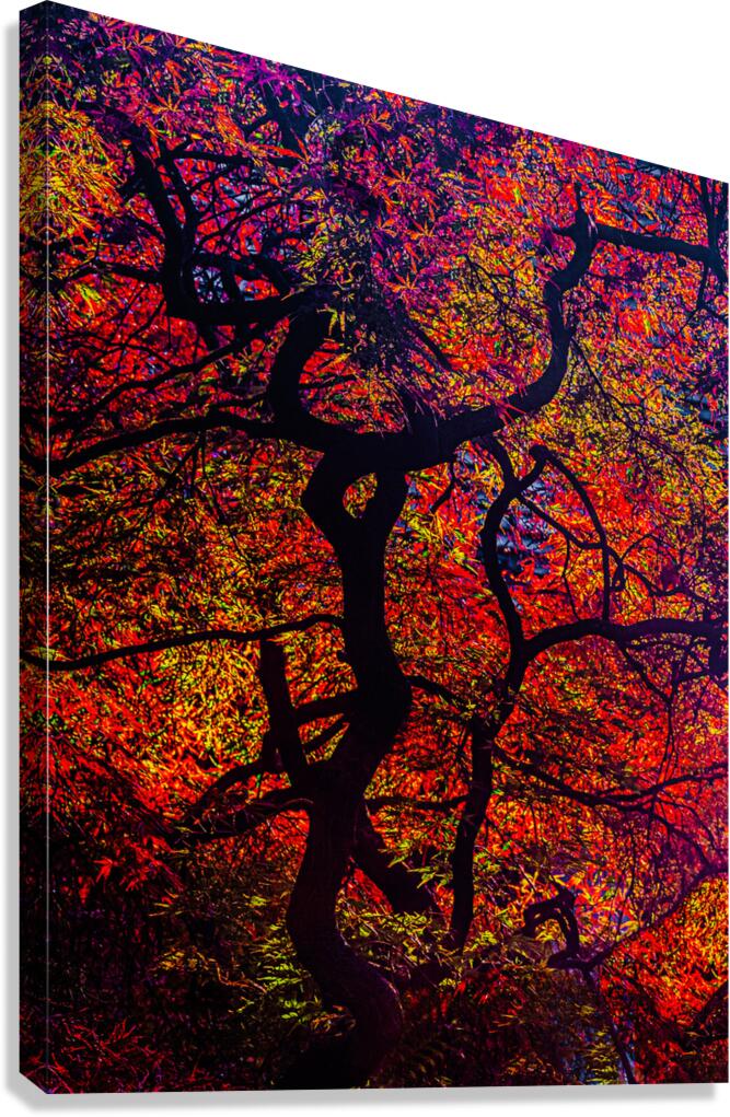 ABS 02014 Canvas Print