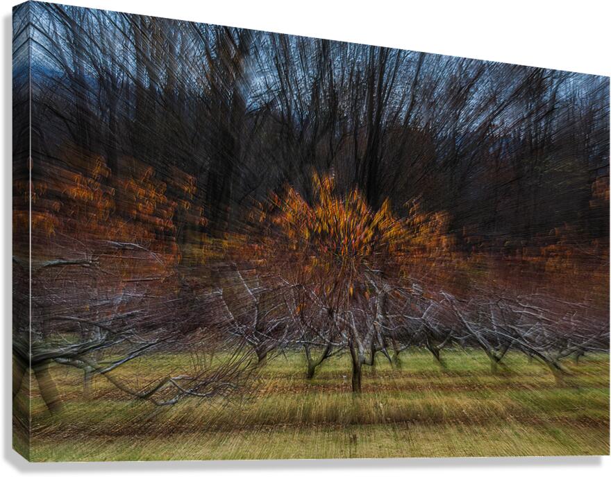 ABS 02018 Canvas Print