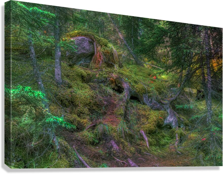 LAN 02047 Canvas Print