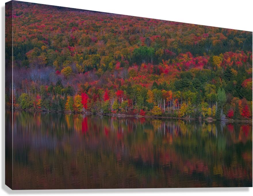 LAN 02081 Canvas Print