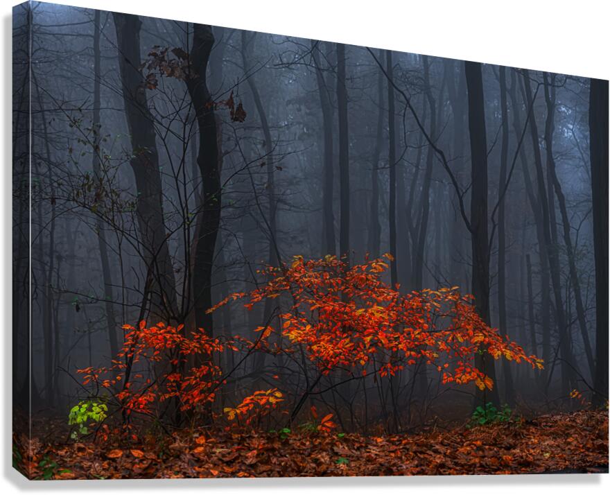 LAN 02068 Canvas Print