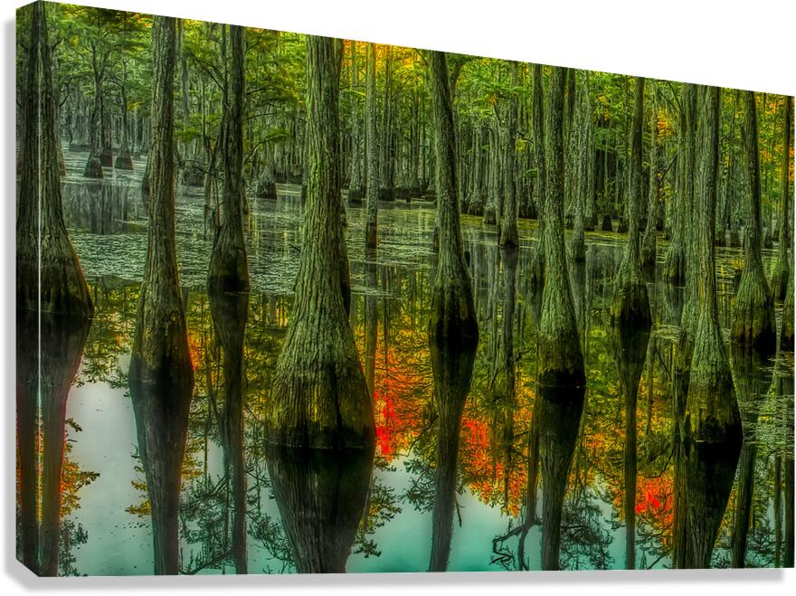 LAN 02090 Canvas Print