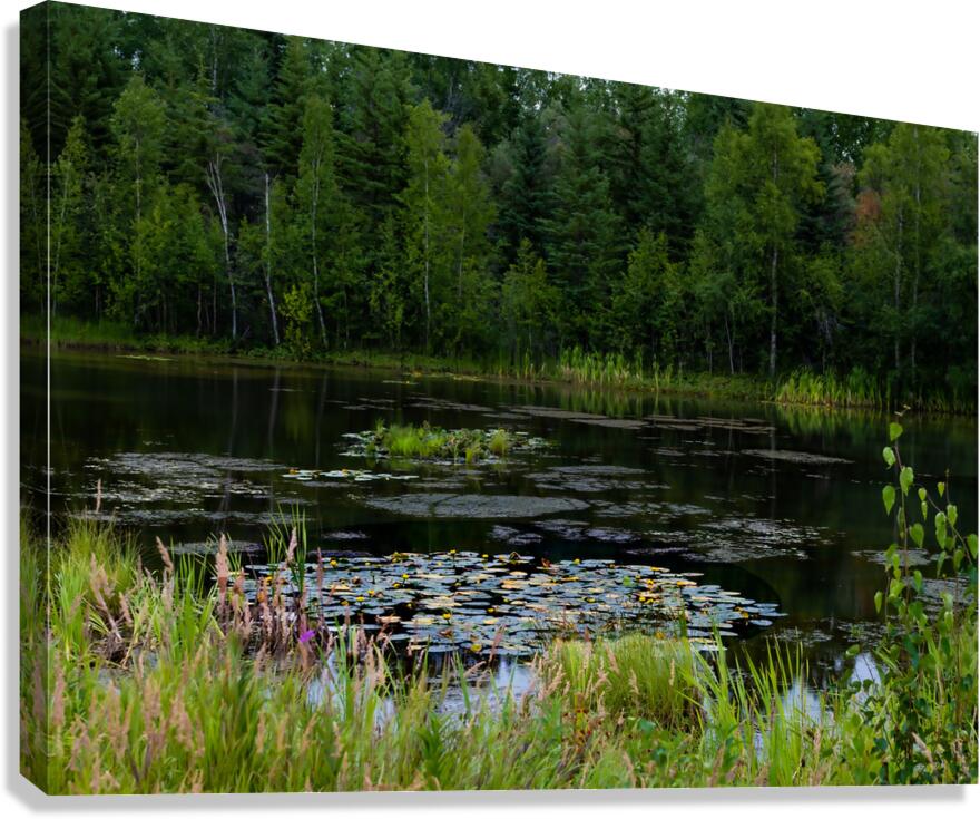 LAN 02065 Canvas Print