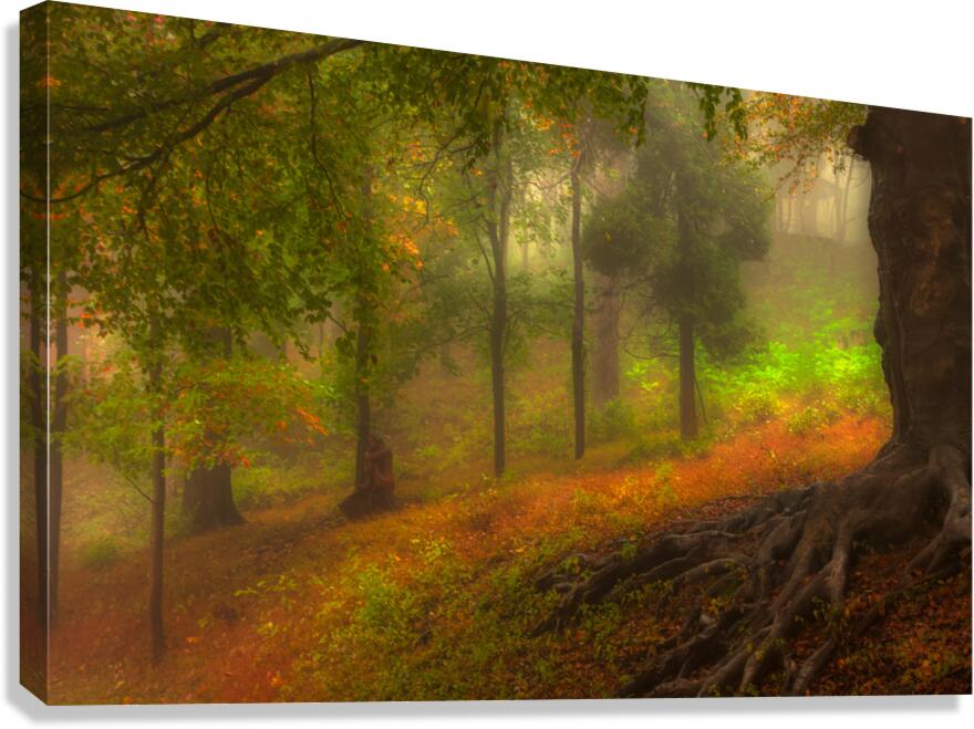 LAN 02038 Canvas Print