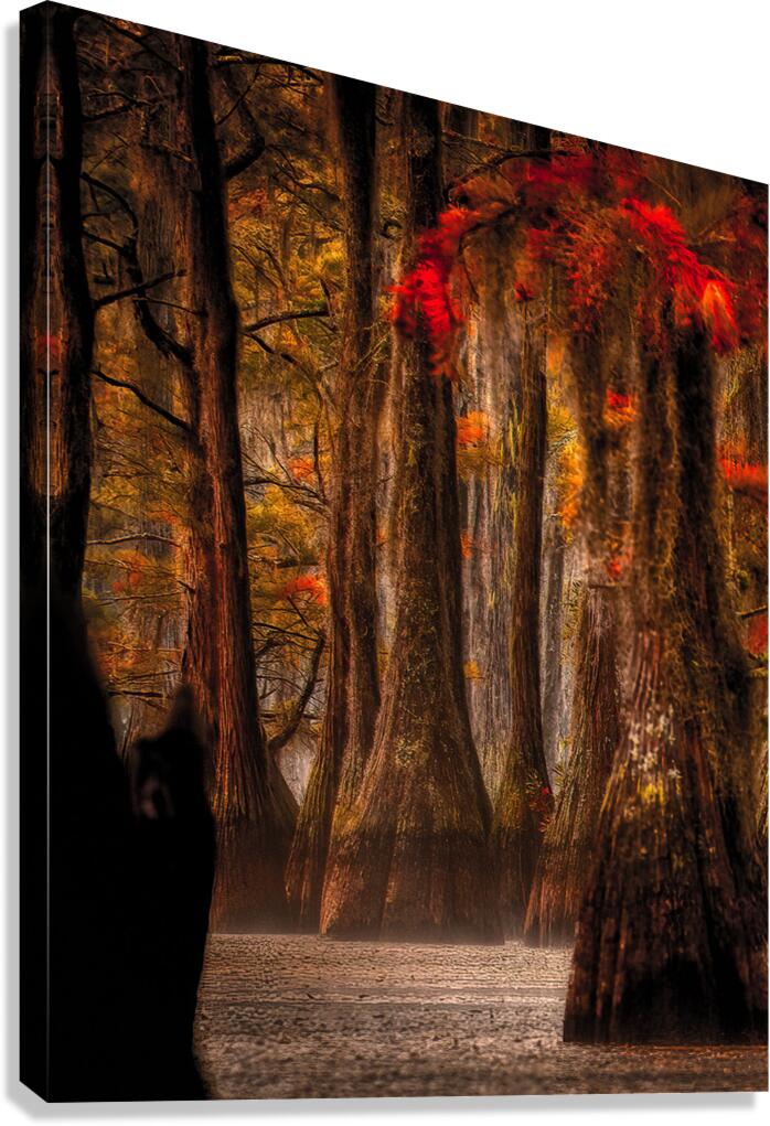 LAN 02088 Canvas Print