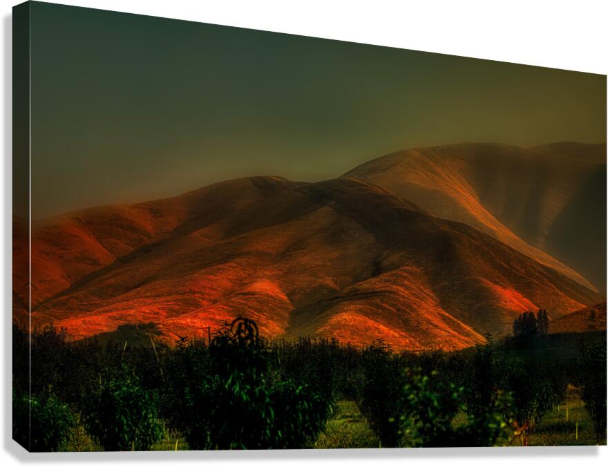 LAN 02049 Canvas Print