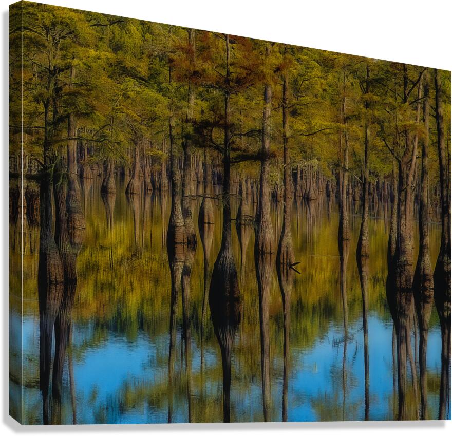LAN 02091 Canvas Print