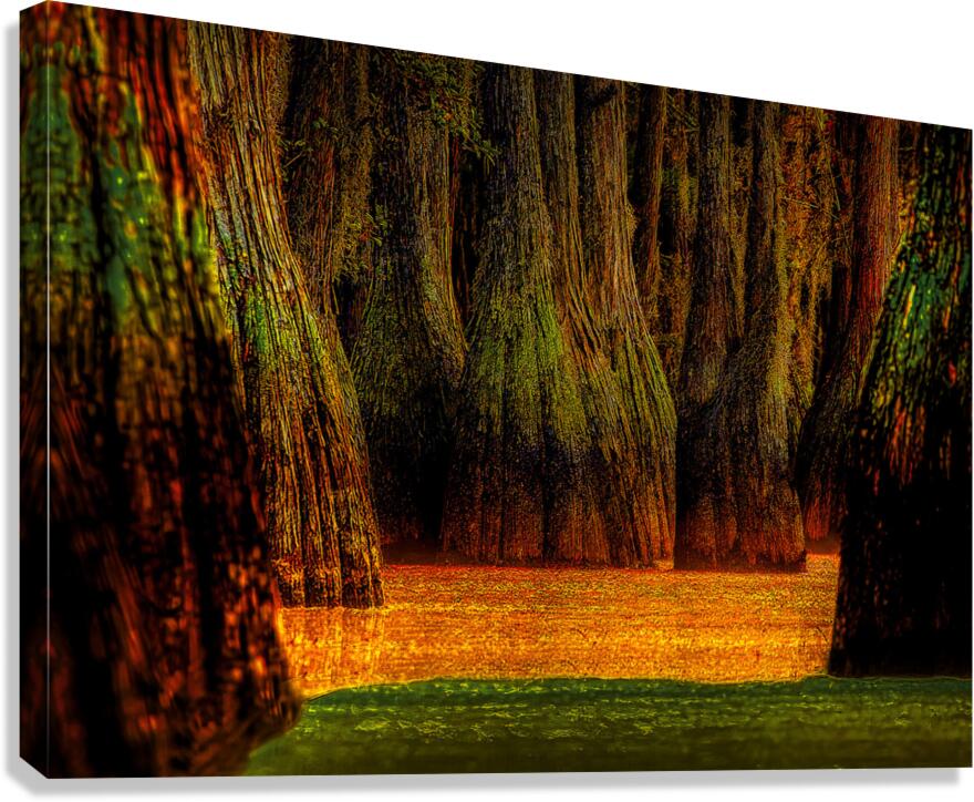 LAN 02087 Canvas Print