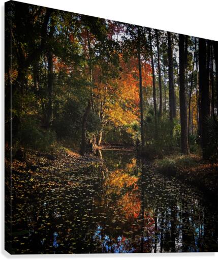 Up in flames  Canvas Print