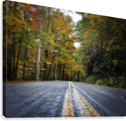 Mountain Drive  Canvas Print