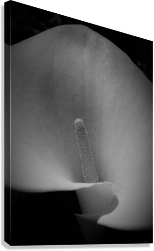 Dark spaces Canvas Print