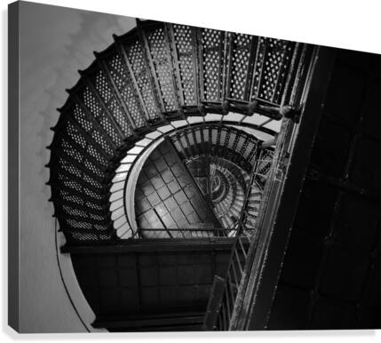 Dizzy  Canvas Print