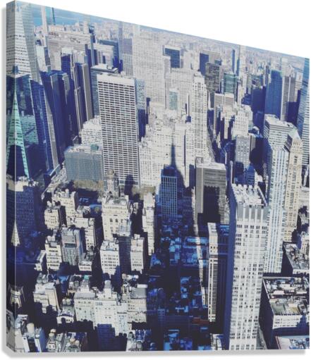 Shadows  Canvas Print