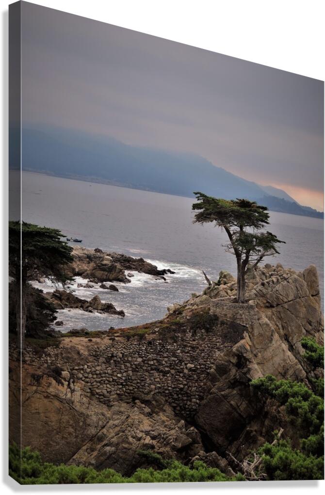 Pebble Beach  Canvas Print