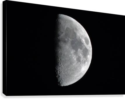 Hide and Seek  Canvas Print