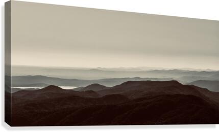 Back Home  Canvas Print
