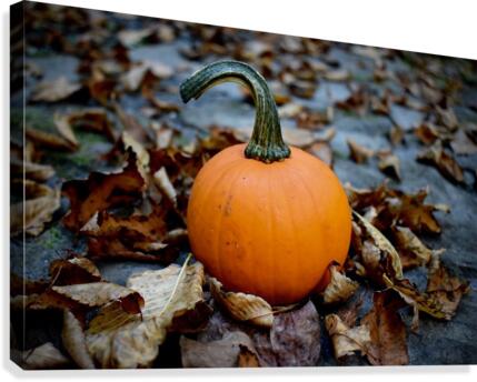 Pumpkin Spice  Canvas Print