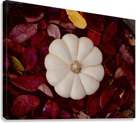 Autumn  Canvas Print