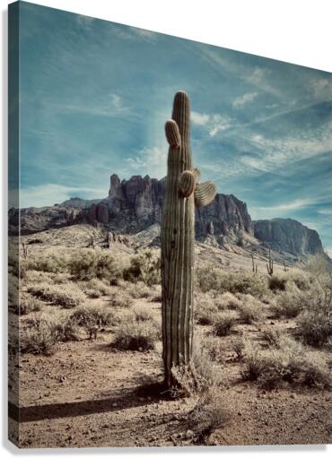 Stands Alone  Canvas Print