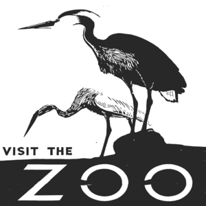 Visit the zoo - Herons