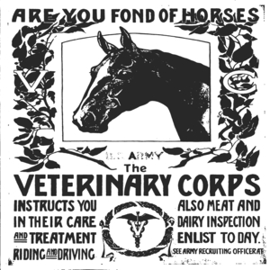 Are you fond of horses 