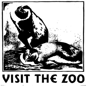 Visit the zoo - Penguins 