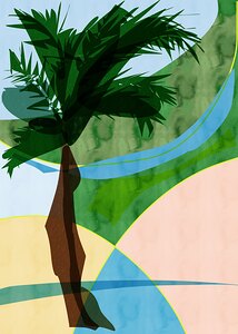 Windswept palm