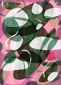 New Birth Comp 6