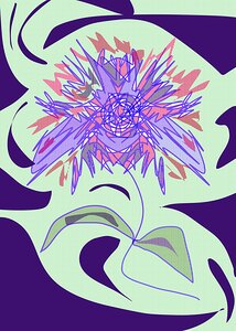Flowerburst Swirl
