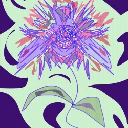 Flowerburst Swirl