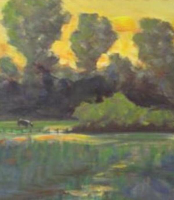 Pasture at dusk by chainsbells