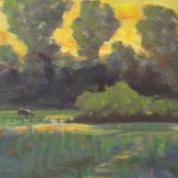 Pasture at dusk