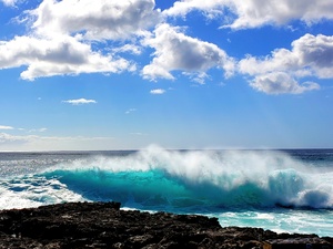 Backlit Yokohaman Beauty