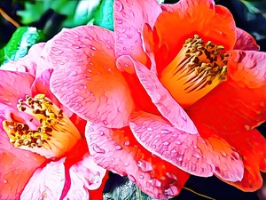 WITH BRIGHTNESS comes lotsa POWER