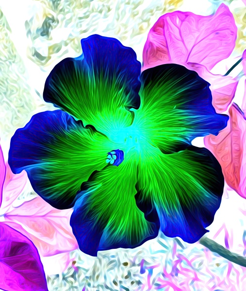 BLU N YELLO HiBiSCUS Print