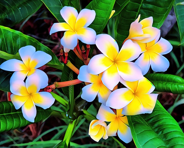 PLUMINERIAL by Scott Werny