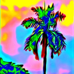 COLORED PALM