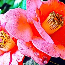 WITH BRIGHTNESS comes lotsa POWER