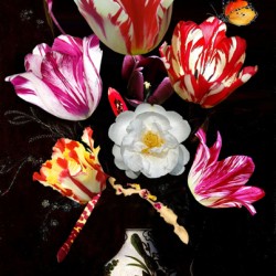 STILL LIFE WITH VARIEGATED TULIPS IN A CERAMIC VASE WITH A WASP DRAGONFLY BUTTERFLY & LIZARD